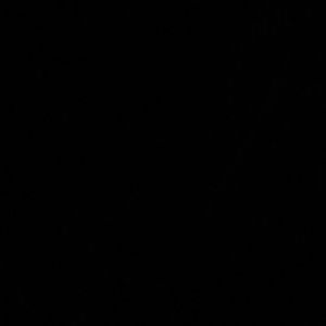 Meet your Posher, Daniela